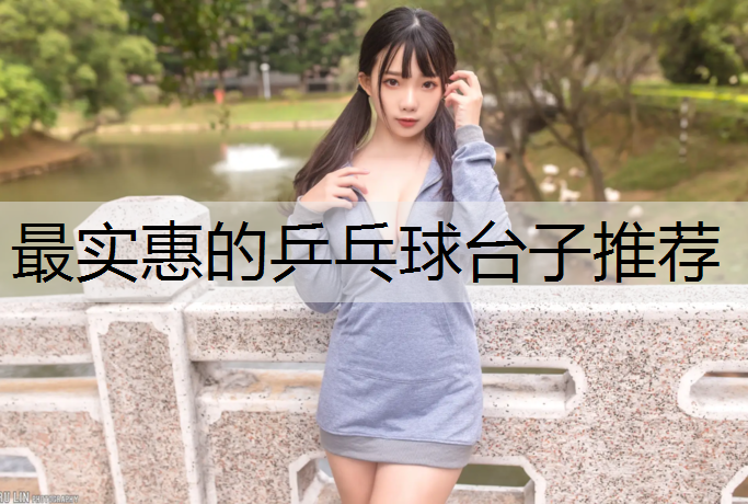 最实惠的乒乓球台子推荐