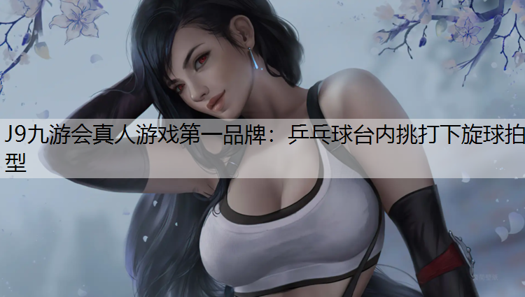 乒乓球台内挑打下旋球拍型
